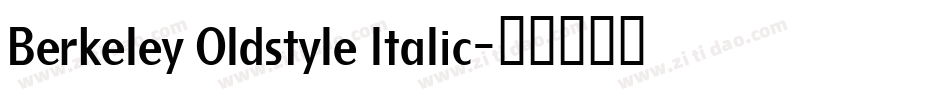 Berkeley Oldstyle Italic字体转换
